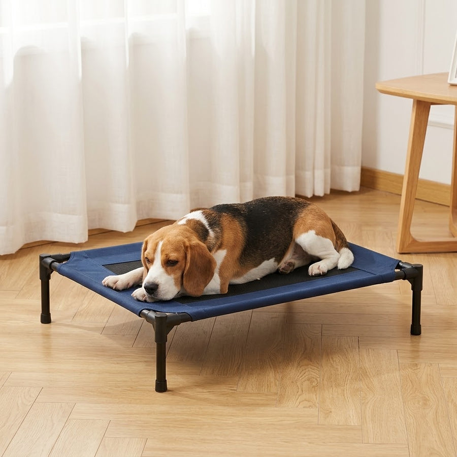 Lit surélevé respirant pour chien — Bris