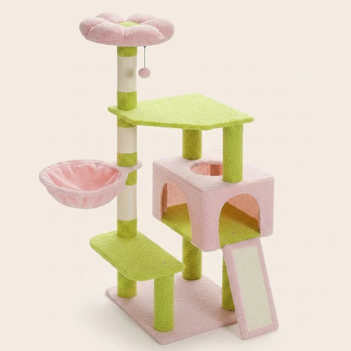 Arbre à chat fleur rose et vert — Blom