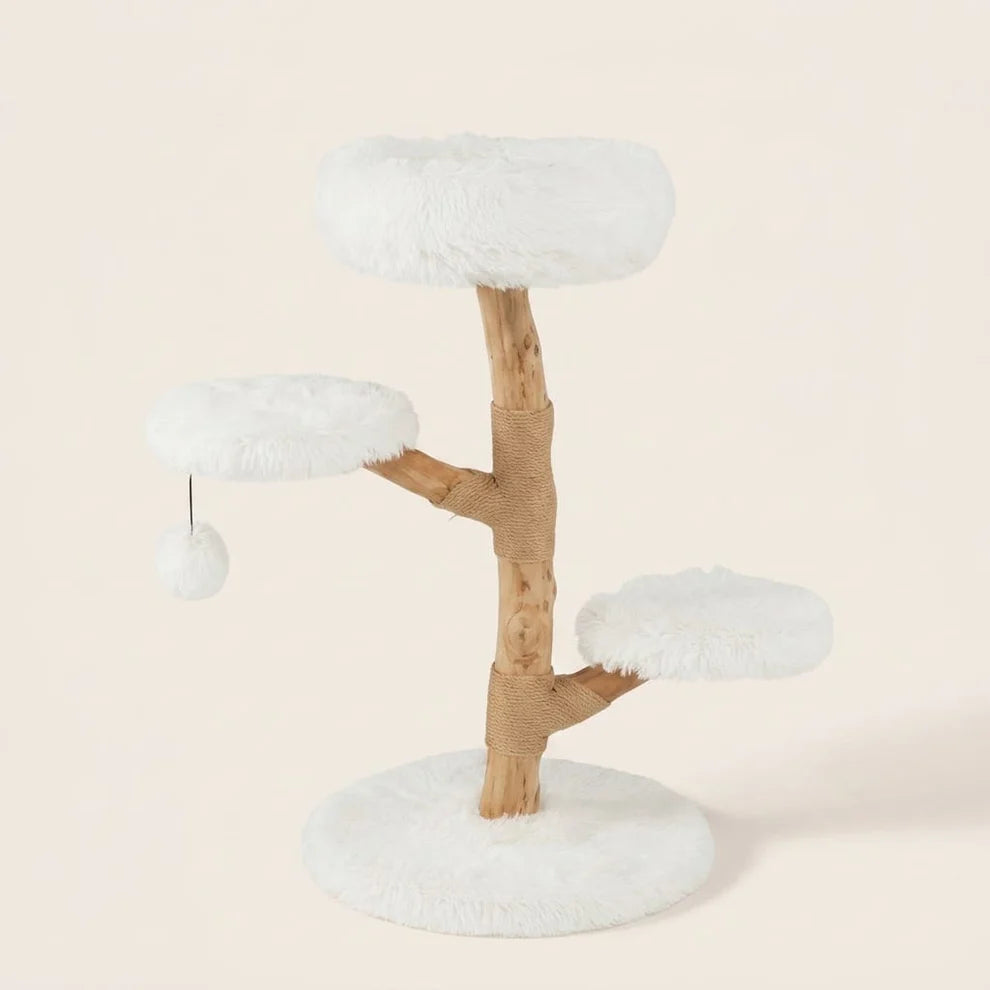 Arbre à chat design bois flotté — Strand