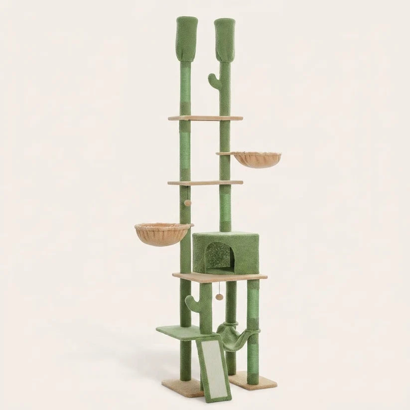 Arbre à chat cactus plafond — Kaktus
