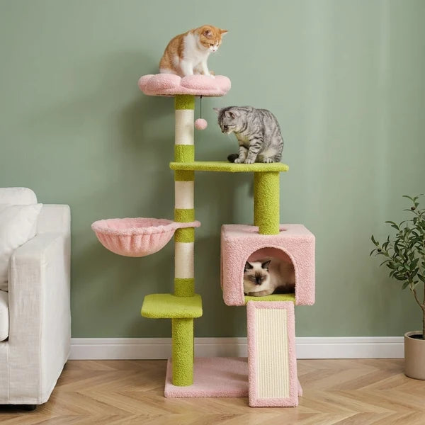 Arbre à chat fleur rose et vert — Blom