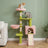 Arbre à chat fleur rose et vert — Blom