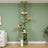 Arbre à chat cactus plafond — Kaktus