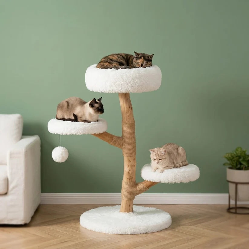 Arbre à chat design bois flotté — Strand