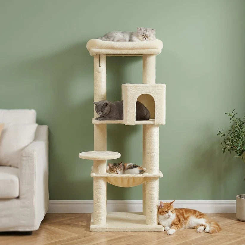Grand arbre à chat beige 5 niveaux — Asp