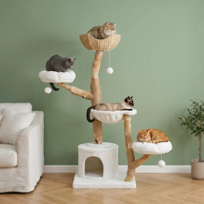 Grand arbre à chat Maine Coon bois flotté 150cm — Rot
