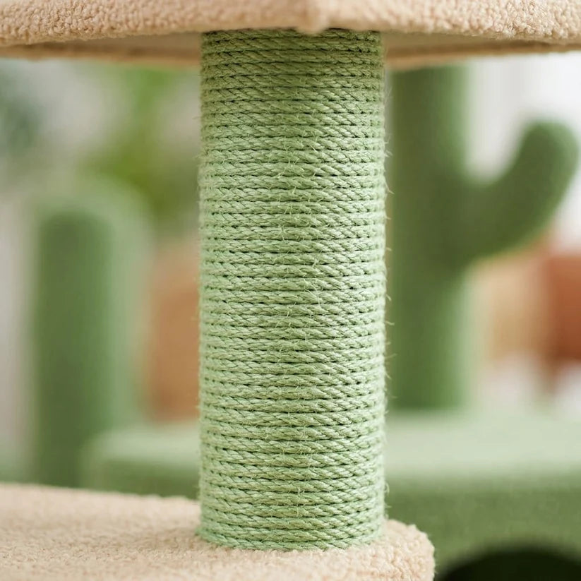 Arbre à chat cactus plafond — Kaktus