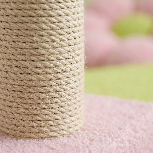Arbre à chat fleur rose et vert — Blom