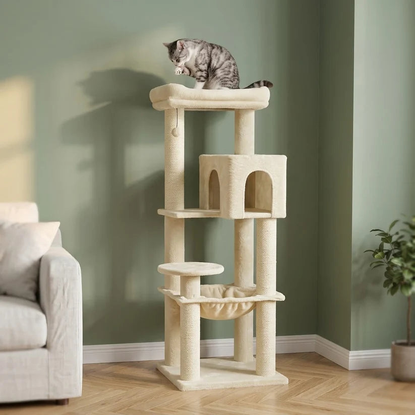Grand arbre à chat beige 5 niveaux — Asp
