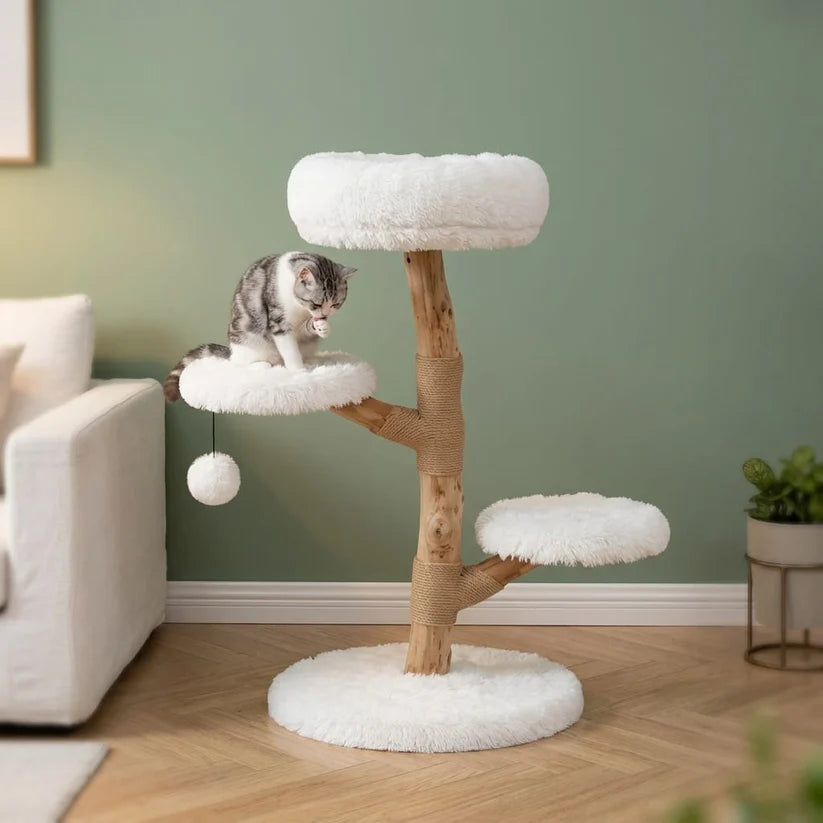 Arbre à chat design bois flotté — Strand