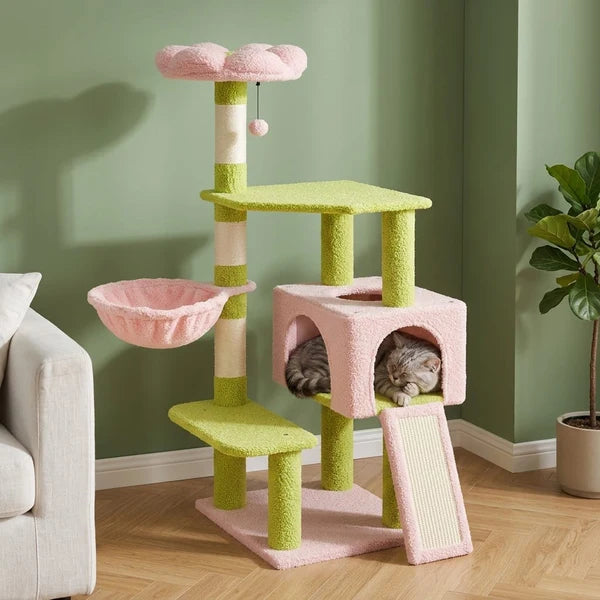 Arbre à chat fleur rose et vert — Blom