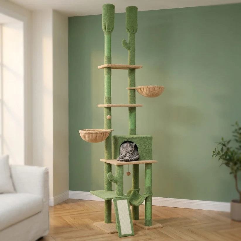 Arbre à chat cactus plafond — Kaktus