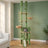 Arbre à chat cactus plafond — Kaktus