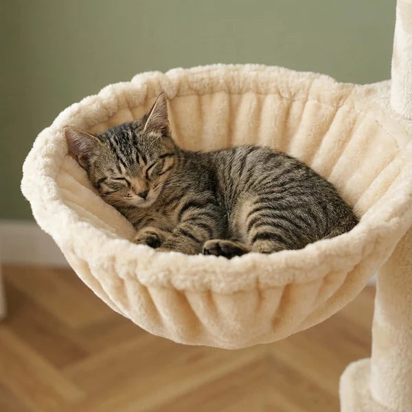 Arbre à chat hauteur plafond 285cm — Fjell
