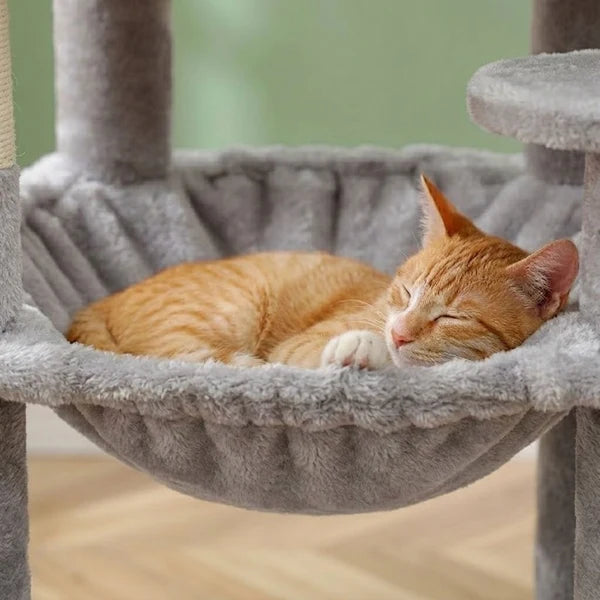 Grand arbre à chat pour maine coon — Alm