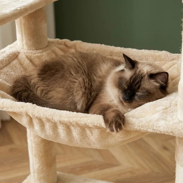 Arbre à chat très haut beige — Bok