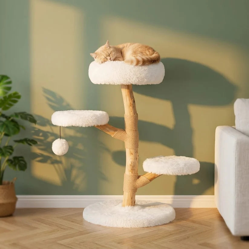 Arbre à chat design bois flotté — Strand