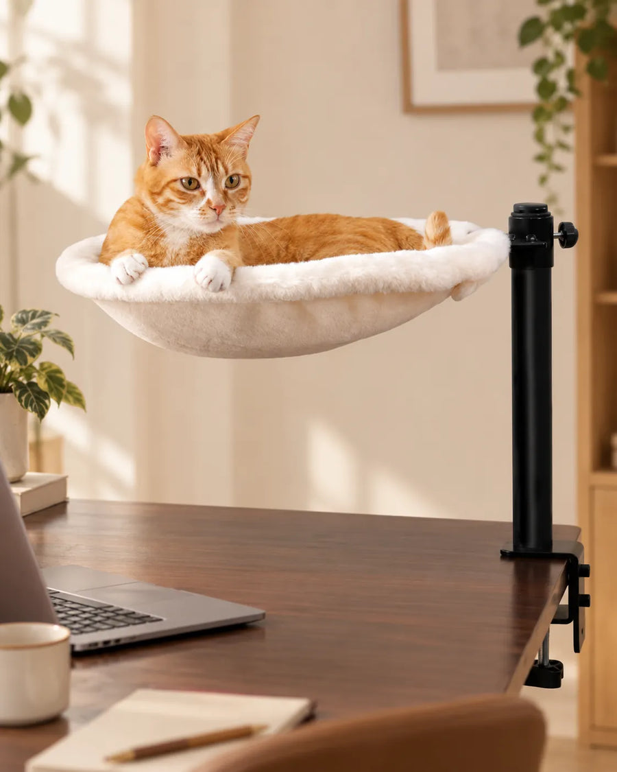 Lit de bureau rotatif pour chat — Nära