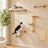 SPOR COZYLOW — parcours mural beige installé dans un salon avec chats en situation