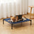 Lit surélevé Bris — chien installé sur le couchage